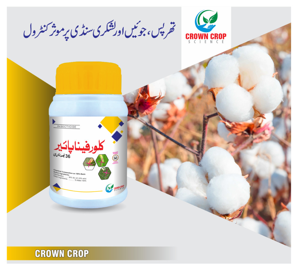 Chlorpyrifos 40% EC 500ml