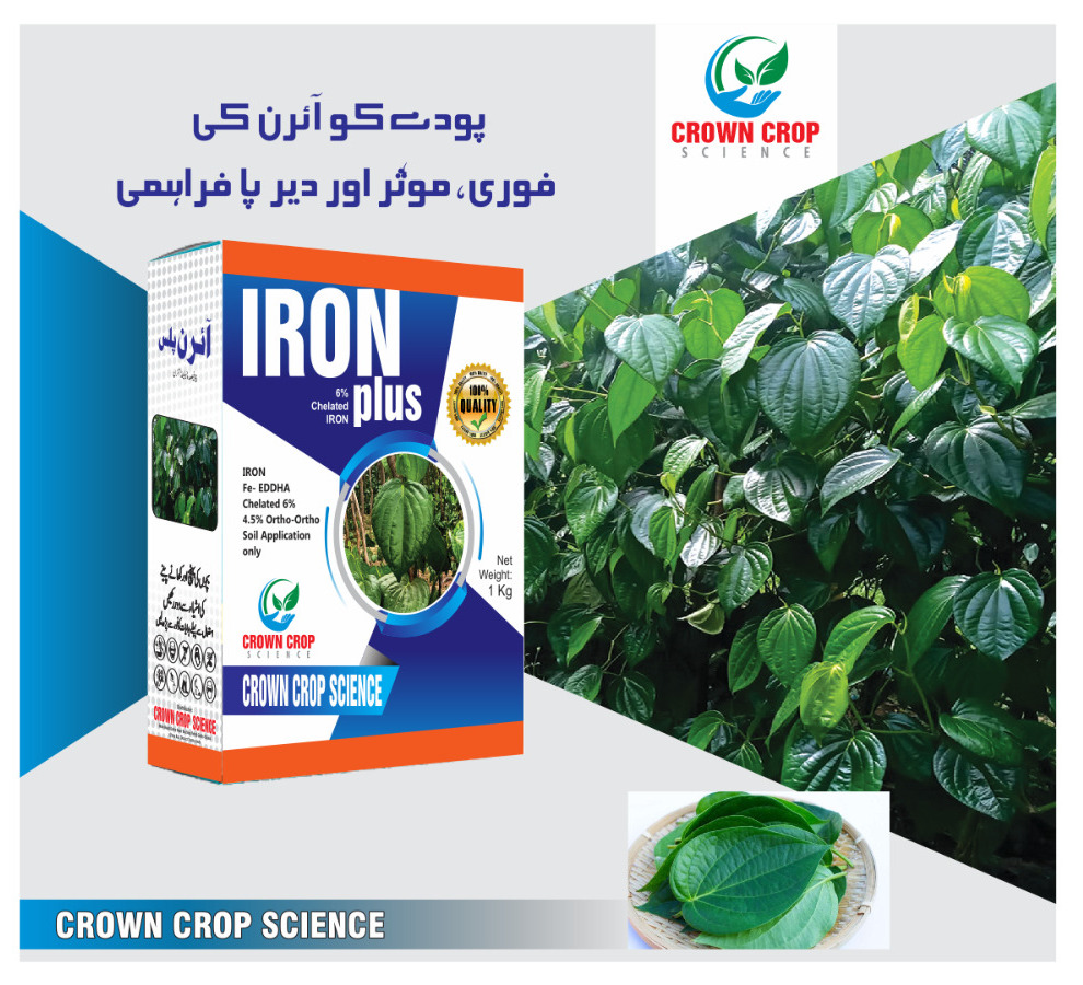 Iron Plus (Iron Chelatet 6%) O.O 4% 1kg