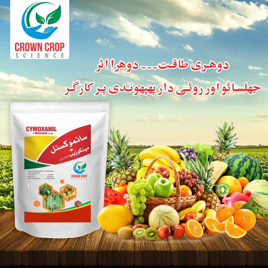 Cymoxanil + Mancozeb 72% WP 250gm